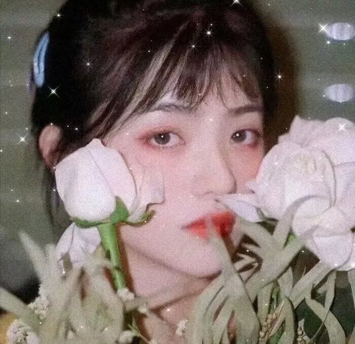 风雨血痕